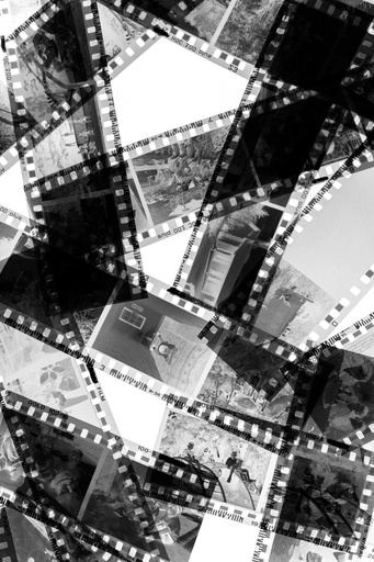 Initiation au développement noir & blanc