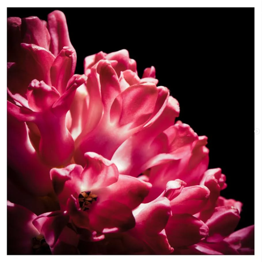 Sublimer vos produits