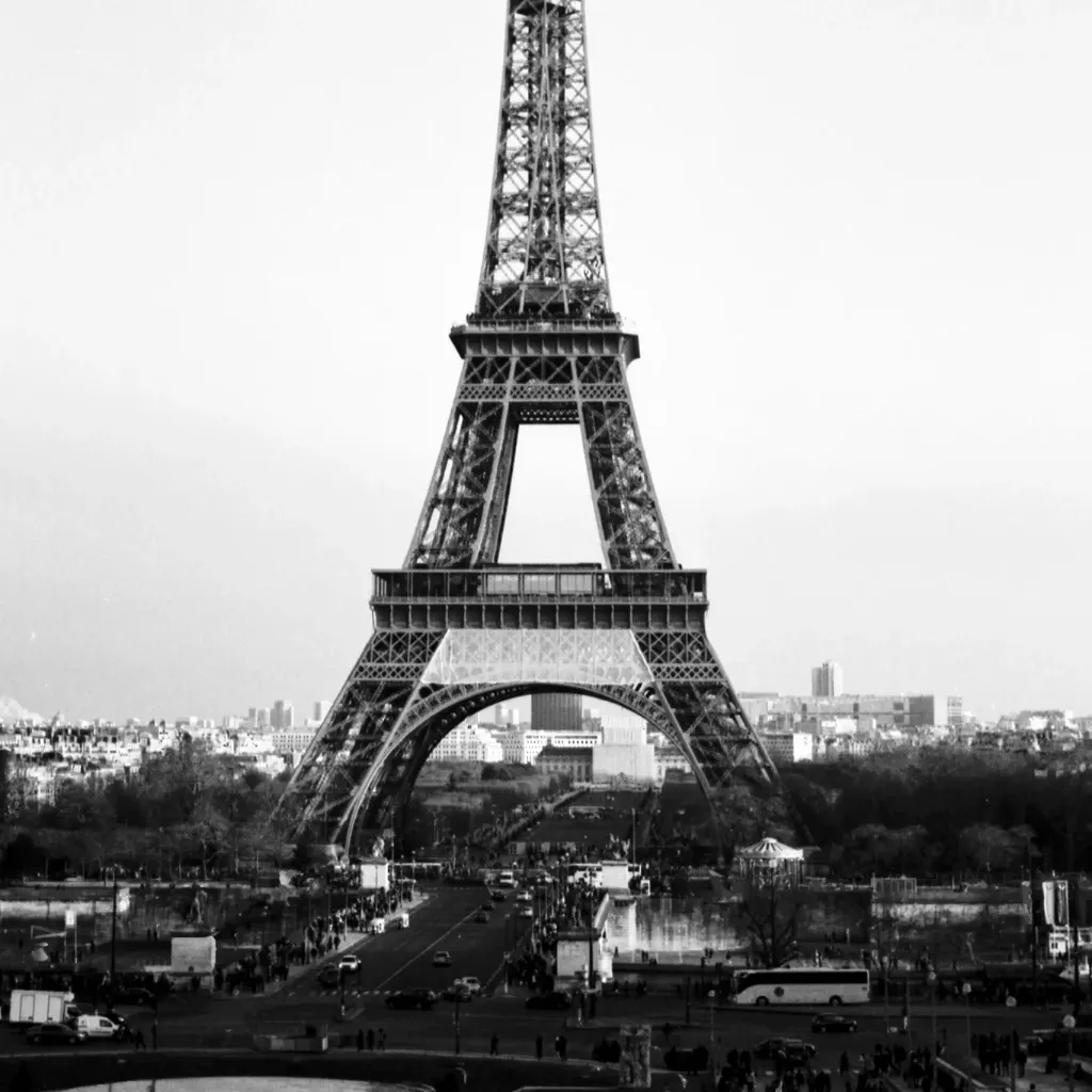 Développement Noir & Blanc